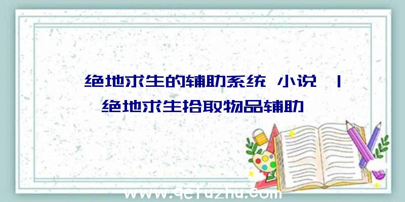 「绝地求生的辅助系统